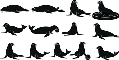 Seal silhouettes, marine animals, sea life, playful pose, resting, balancing, whiskers, flippers, black vector, flat  © Itz Raju