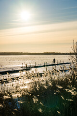 Frozen Harbor in Golden Backlight with Woman on Pier and Golden Reeds near Greifswald