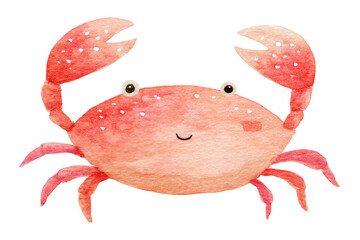 Cute Watercolor Crab Illustration - Sea Creature