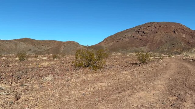 Dish Hill in the Mojave Desert, San Bernardino County, California, is a distinctive basalt cinder cone or scoria cone near Historic Route 66.  Basin and Range Province. Larrea tridentata