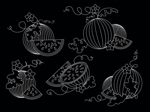 Isolated vector set of watermelon. Black and white print. Sketch juicy slices, leafs and blossoms. Exotic tropical fresh fruit. hHd drawn cartoon minimalistic flat style illustration. Doodle pattern