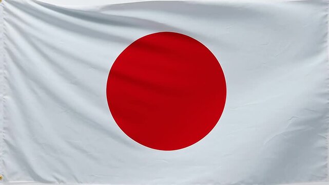 Japanese flag with red circle on white background