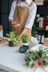 A shop owner or employee using phone checking order or to document the plant for inventory.
