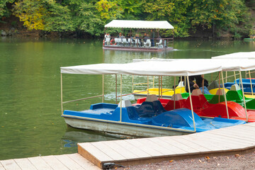 Water pedal boats in the lake.