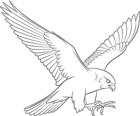 Obraz premium Adobe Illustrator Artwork