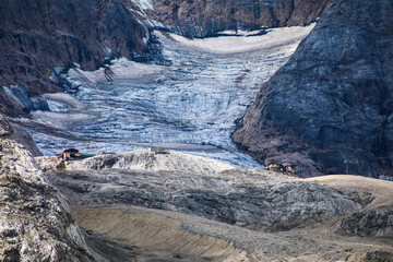 Alpine glacier landscape revealing the impact of climate change on the Marmolada with ice loss and exposed rock.