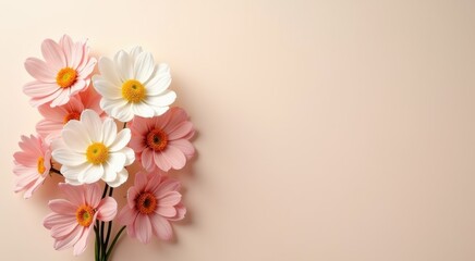 Many pink and white flowers on a pink background