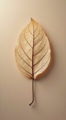 A close up of a leaf with a brown stem on a beige background