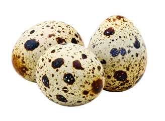 Obraz premium Three quail eggs isolated isolated on transparent background