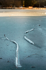 Frozen lake. Tree branches stuck in the ice.