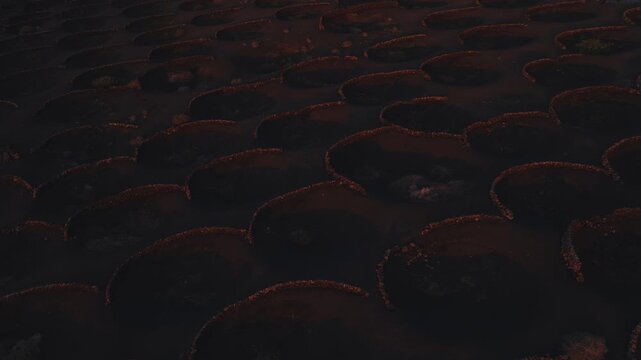Aerial view of La Geria vineyards in Lanzarote, Canary Islands. The camera sweeps slowly overhead at golden hour, revealing stone walls and concave pits.