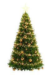 Fototapeta premium A tall, vibrant evergreen christmas tree adorned with glowing warm white led lights and shiny golden spherical baubles against a transparent studio background. Concept of festive holiday joy