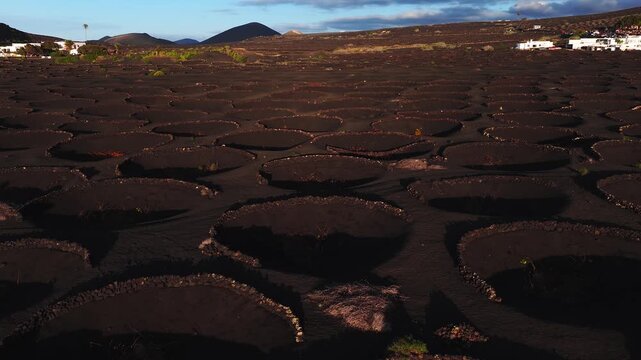 Aerial view of La Geria on Lanzarote shows circular vine pits in black ash, zocos, volcanic cones, and white houses. Camera glides in warm low sunlight.