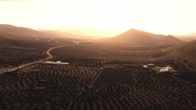 Aerial view of La Geria vineyards in Lanzarote, circular pits in black lava, stone walls, lone vines, sinuous road, white farmhouses, cars, volcanic hills, warm light