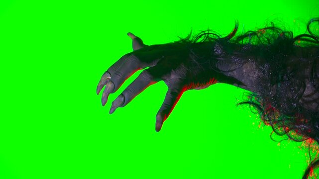 scary hand with claws wolf werewolf monster paw on a green background