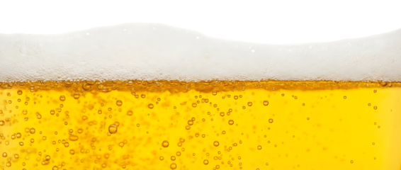 A close up view of frothy beer head sitting atop golden beer liquid perfect for beverage designs on transparent background