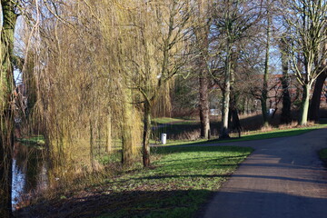 Obraz premium spring in the city park