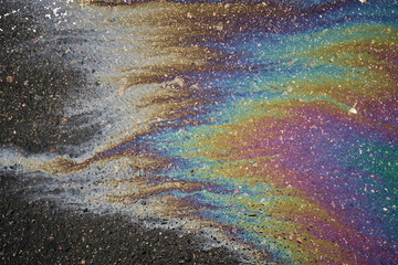 An oil slick creates a colorful iridescent pattern on a wet asphalt surface.