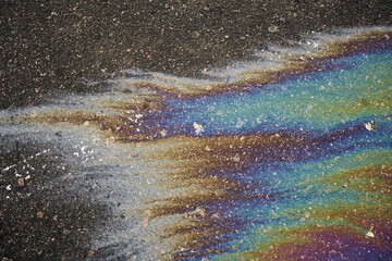 A colorful oil sheen creates a stunning iridescent effect on water-soaked asphalt.