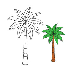 A detailed areca palm coloring page featuring graceful feathery fronds, perfect for adding shades of green and bringing tropical vibes to life.  © Ripa Roy