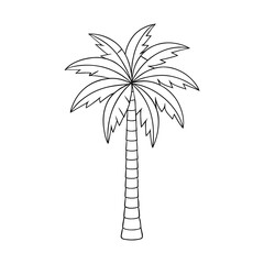 A detailed areca palm coloring page featuring graceful feathery fronds, perfect for adding shades of green and bringing tropical vibes to life.  © Ripa Roy