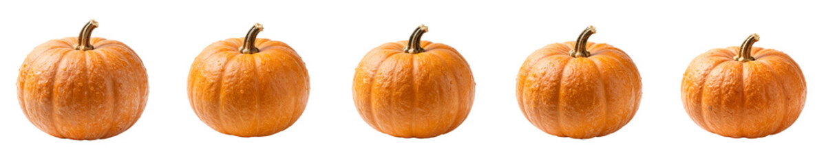 Obraz premium A row of five bright orange pumpkins, each displaying unique textures and shapes, ideal for autumn decor and festive seasonal displays