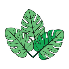 Fototapeta premium Lush tropical leaves in vibrant greens, layered and overlapping, creating a fresh, exotic jungle vibe full of life, texture, and natural tropical charm. 