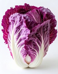 Obraz premium Close Up Of Vibrant Purple Radicchio On White Background With Dramatic Lighting