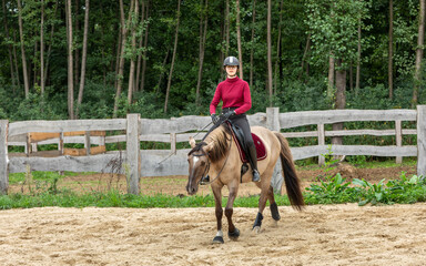 A young woman in a red sweater is riding a Lusitano horse within a riding arena adjacent to a wooden fence. Behind the fence, a forest can be seen.