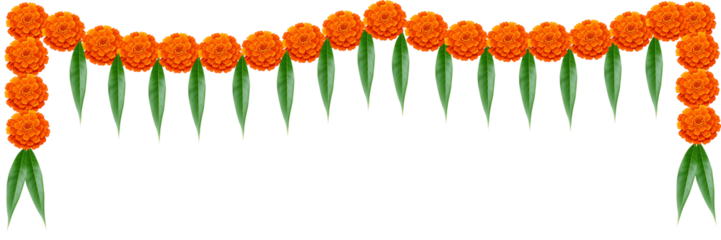 Indian festival Thoranam or Toran of marigold flowers isolated on transparent background with lotus flower and mango leaf, hanging in entrance of house, reception, mall, temple, functions.