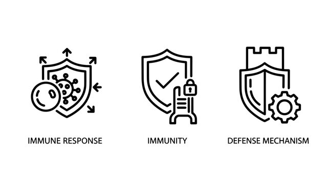 Healthcare and immunology icons representing immune response, defense mechanisms, and immunity protection