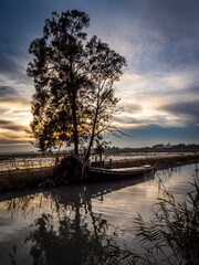 Albufera Natural Park in Valencia (Spain)