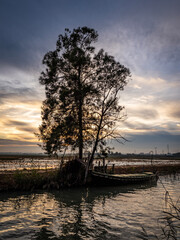 Albufera Natural Park in Valencia (Spain)