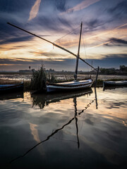 Albufera Natural Park in Valencia (Spain)