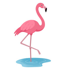 Fototapeta premium Flamingo In Water Illustration