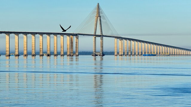 View of the Rio Negro Bridge spanning the Amazon River in the state of Amazonas, Brazil. Iconic infrastructure connecting Manaus region, reflecting on calm river waters with a bird flying across the s