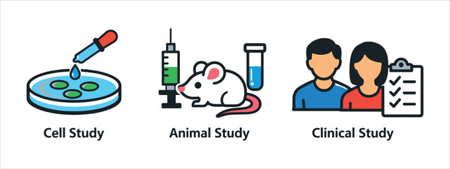 Simple, understandable, and educational infographics on the three main stages of scientific research into medicines (or medical treatments), designed in a bright, flat style with cute iconography.