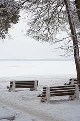 Benches on the shore of Lake Narach in Belarus in winter.                               