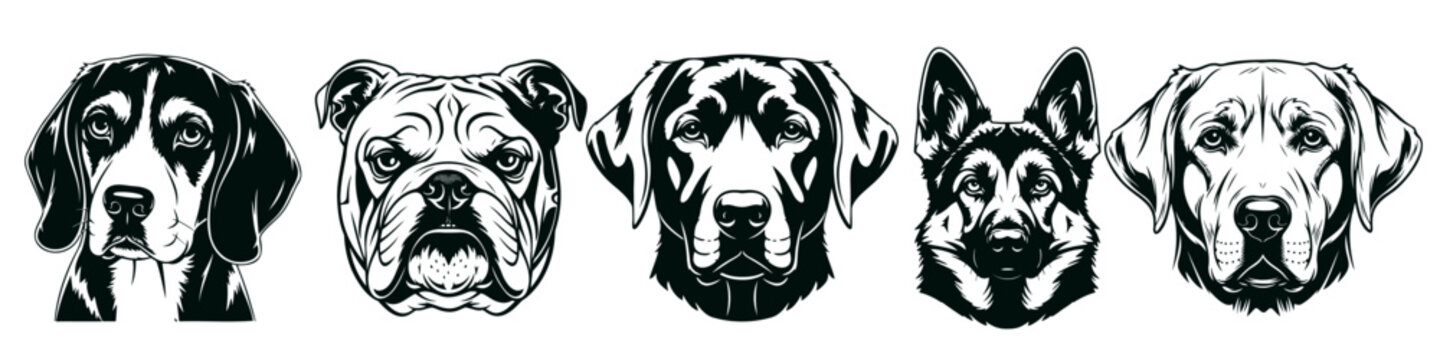 Multiple dog breed heads collection, including beagle, bulldog labrador and German Shepherd