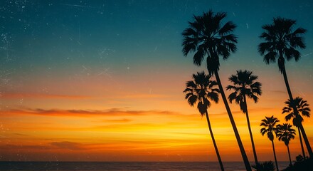 Sunset Over Palm Trees Beach Scene