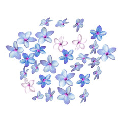 3d render blue hibiscus flowers petals isolated