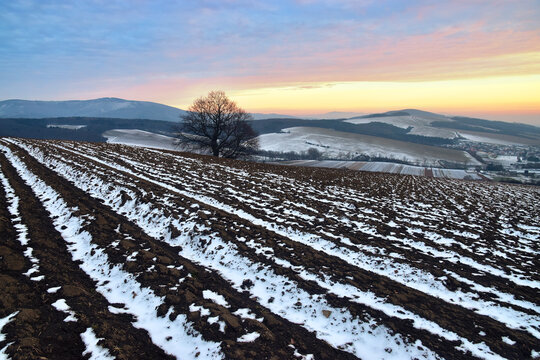 Winter rural landscape nature field sunset mountains