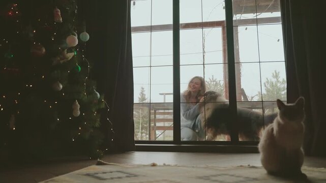 young happy woman playing having fun with her dog purebred collie black fluffy fur, beauty girl stroking pet's muzle, outside in yard, window view of house home with cat. Pet love expression emotion