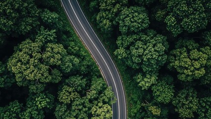 Serene winding road cuts through a lush, vibrant green forest from an aerial perspective.