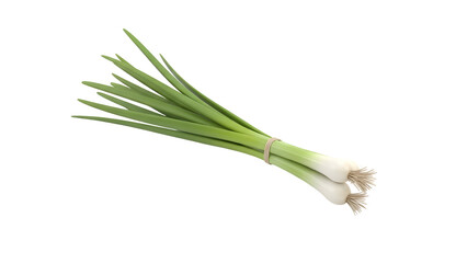 Fresh green spring onions with white roots isolated on transparent background