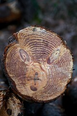 pins coup&eacute;s, visage