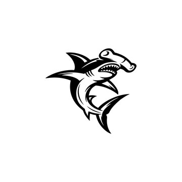 A stylized black hammerhead shark logo with sharp fins, curved body, and fierce teeth is centered on a white background in dynamic tribal tattoo style.