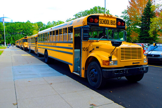 Yellow school busses transport student to and from school In Lexington MI . 01.16.26