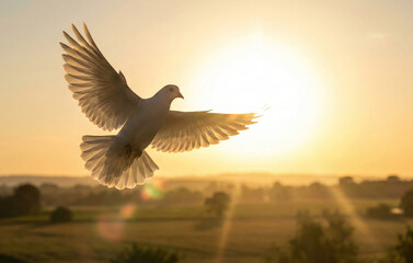 White doves in the evening sky symbolize freedom, peace, and spirituality.