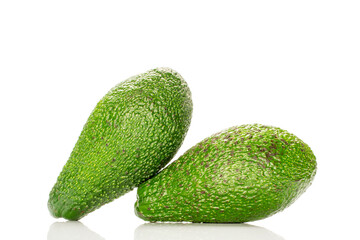Ripe avocado , isolated on white background, close-up.